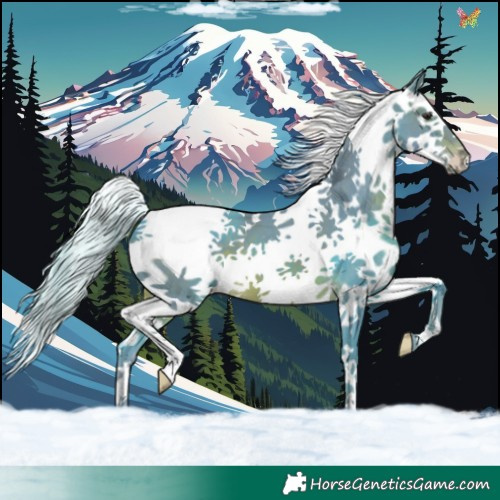 Horse Color:Watercolor Silver Brown Splash
