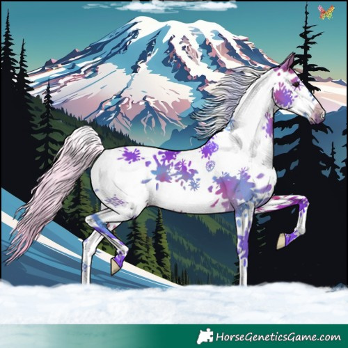 Horse Color:Watercolor Silver Brown Splash