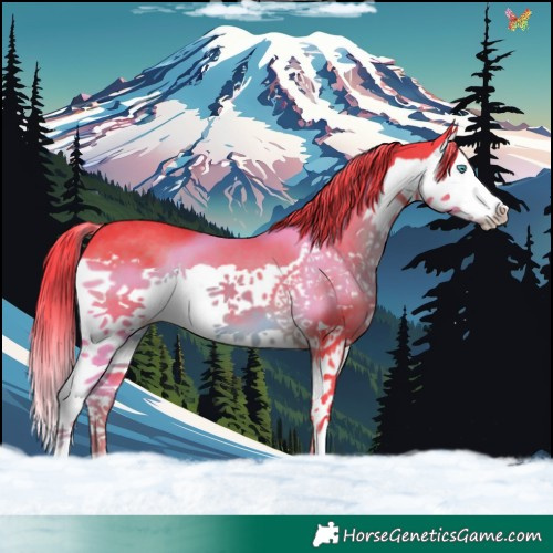 Horse Color:Watercolor Liver Chestnut Splash