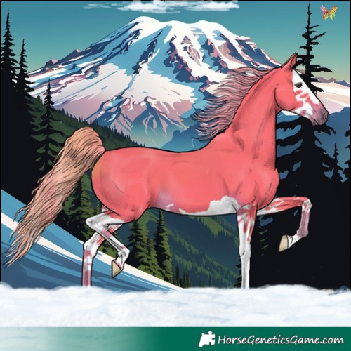 Horse Color:Watercolor Liver Chestnut Splash 