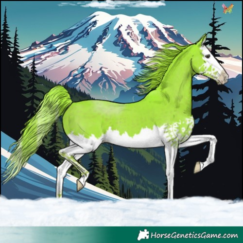 Horse Color:Watercolor Liver Chestnut Splash 
