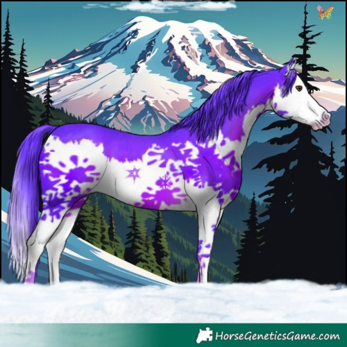 Horse Color:Watercolor Liver Chestnut Splash 