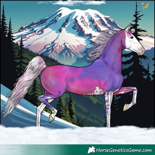 Horse Color:Watercolor Silver Bay Splash 
