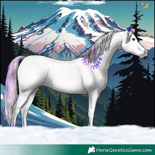 Horse Color:Watercolor Liver Chestnut Splash 