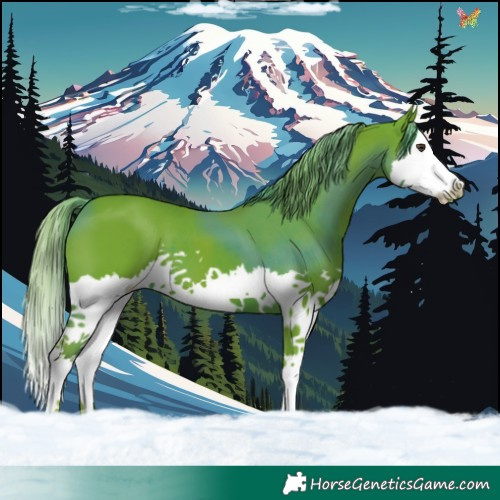 Horse Color:Watercolor Liver Chestnut Splash 