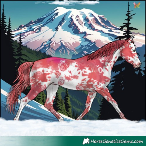 Horse Color:Watercolor Liver Chestnut Splash 