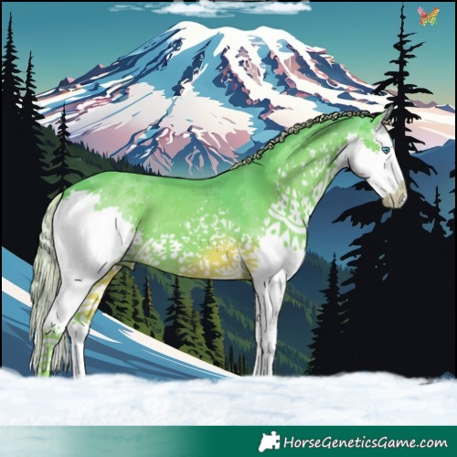 Horse Color:Watercolor Liver Chestnut Splash 