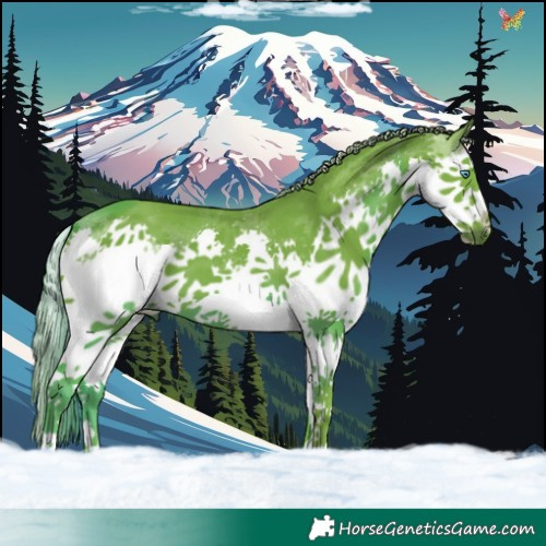 Horse Color:Watercolor Liver Chestnut Splash