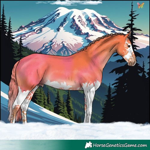 Horse Color:Watercolor Liver Chestnut Splash 