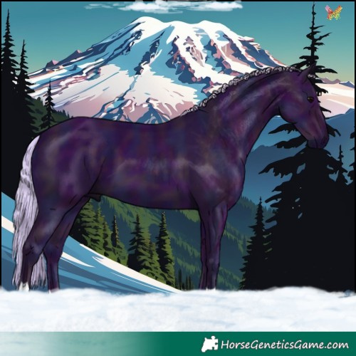 Horse Color:Watercolor Midnight Silver Black 