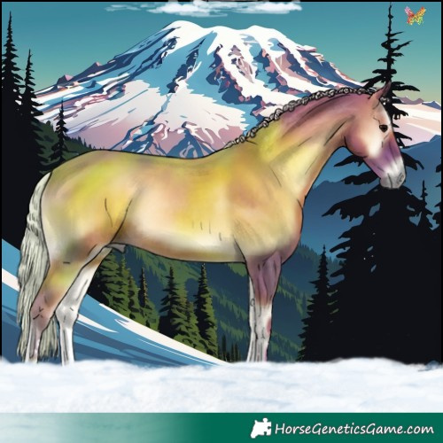 Horse Color:Watercolor Silver Blue Onyx 