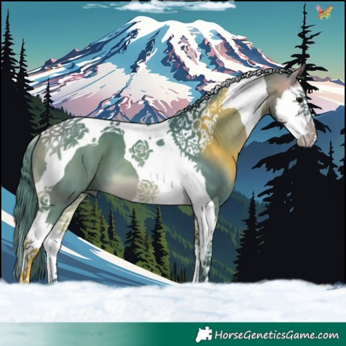 Horse Color:Watercolor Buckskin Splash Tobiano 