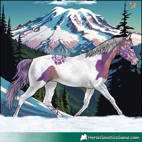 Horse Color:Watercolor Brown Splash Tobiano