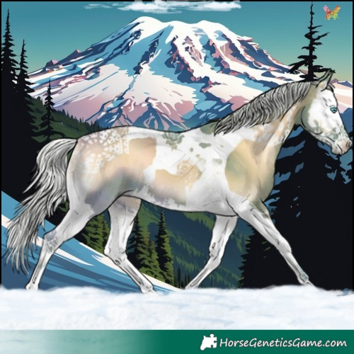 Horse Color:Watercolor Silver Smoky Blue Onyx Splash Tobiano 