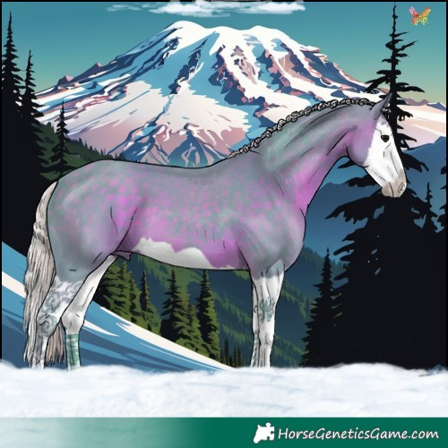 Horse Color:Watercolor Silver Black Splash 
