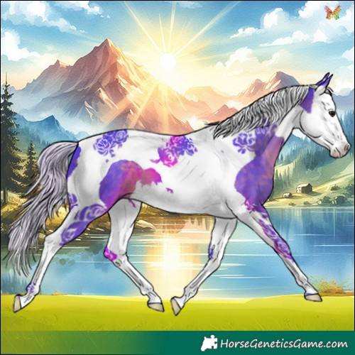 Horse Color:Watercolor Silver Smoky Black Splash Tobiano