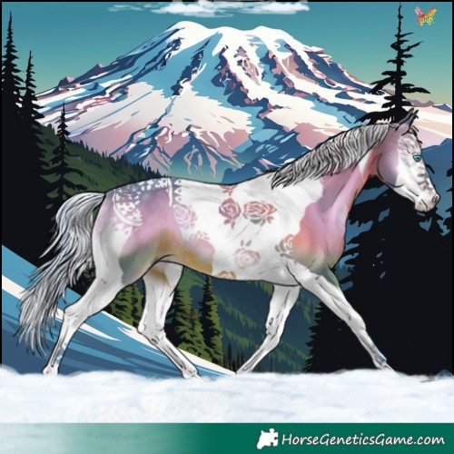 Horse Color:Watercolor Silver Brown Onyx Splash Tobiano