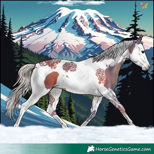 Horse Color:Watercolor Silver Black Splash Tobiano 