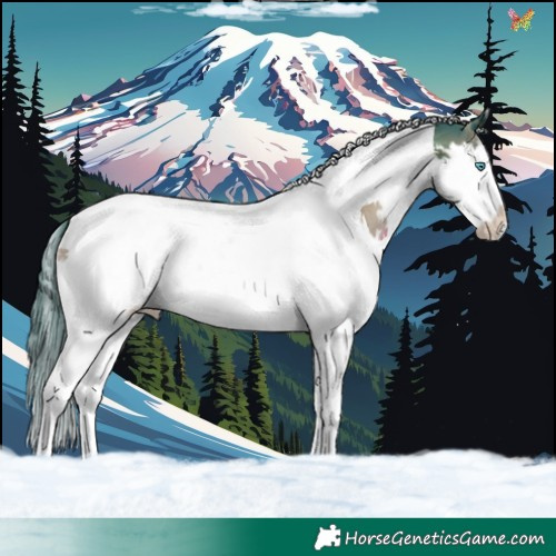 Horse Color:Watercolor Smoky Blue Onyx Splash Tobiano 