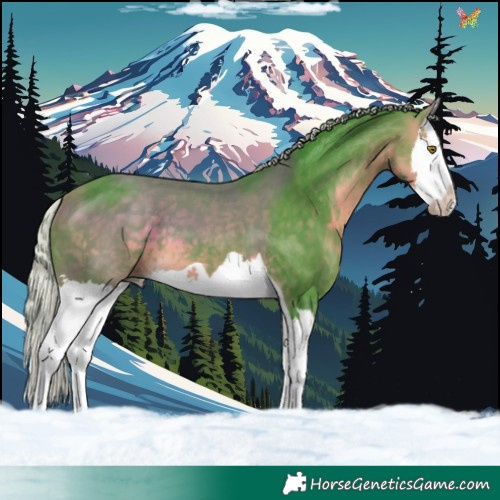 Horse Color:Watercolor Silver Buckskin Splash 