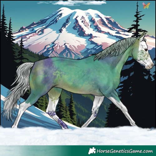 Horse Color:Watercolor Silver Buckskin Splash 