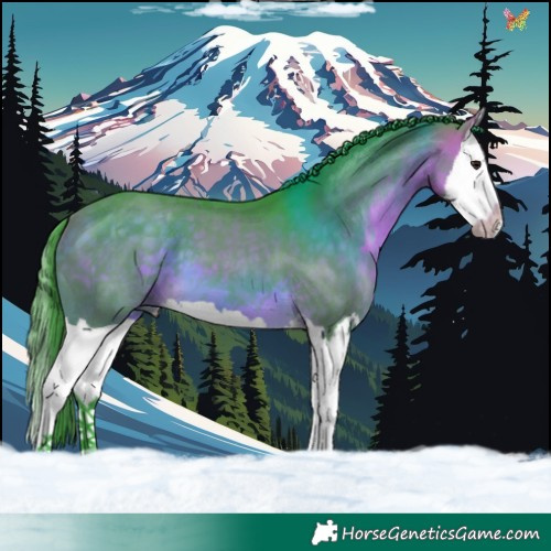 Horse Color:Watercolor Buckskin Splash 