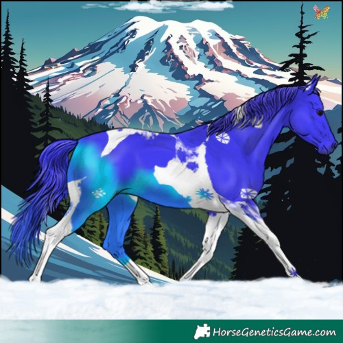 Horse Color:Watercolor Black Tobiano 