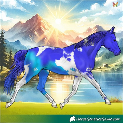 Horse Color:Watercolor Black Tobiano