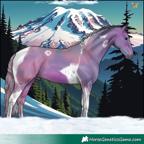 Horse Color:Watercolor Brown Tobiano