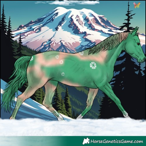 Horse Color:Watercolor Smoky Black 