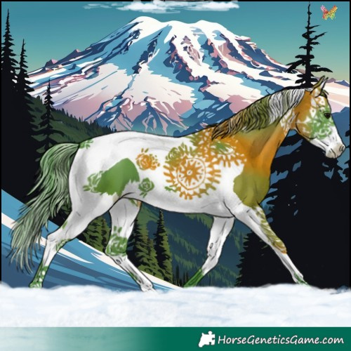 Horse Color:Watercolor Black Splash Tobiano