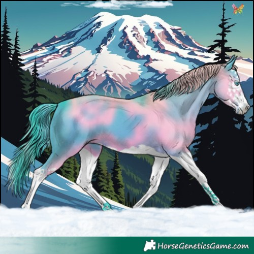 Horse Color:Watercolor Smoky Black Splash 