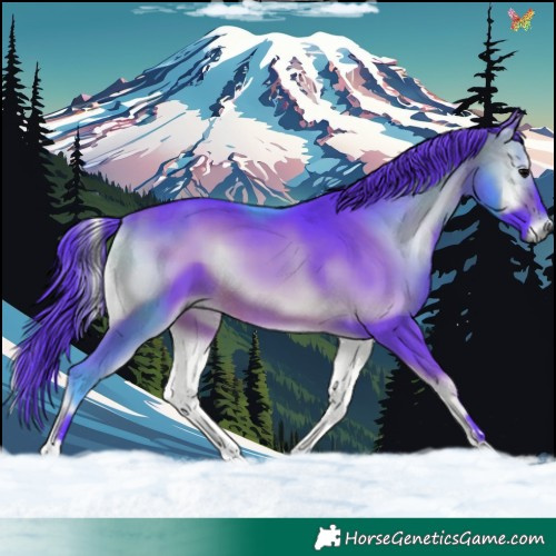 Horse Color:Watercolor Brown Onyx