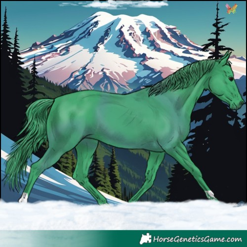 Horse Color:Watercolor Black 