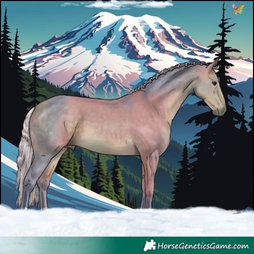 Horse Color:Watercolor Silver Buckskin