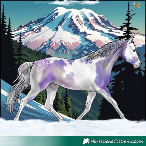 Horse Color:Watercolor Silver Buckskin Onyx Splash Tobiano 