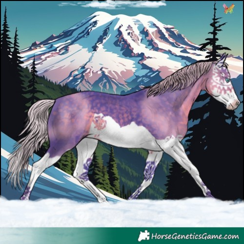 Horse Color:Watercolor Silver Smoky Black Splash 