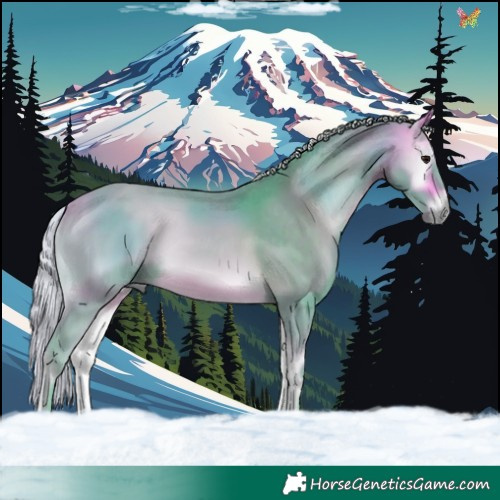 Horse Color:Watercolor Silver Buckskin Onyx