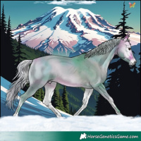 Horse Color:Watercolor Silver Buckskin Onyx
