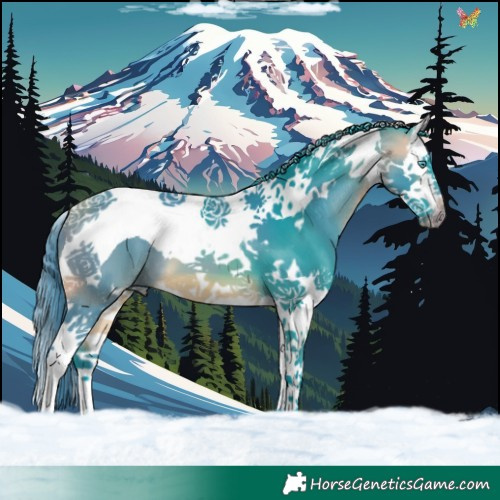 Horse Color:Watercolor Buckskin Splash Tobiano