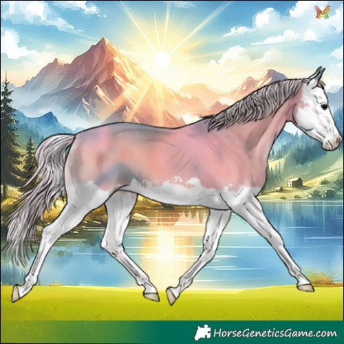 Horse Color:Watercolor Silver Blue Onyx Splash 