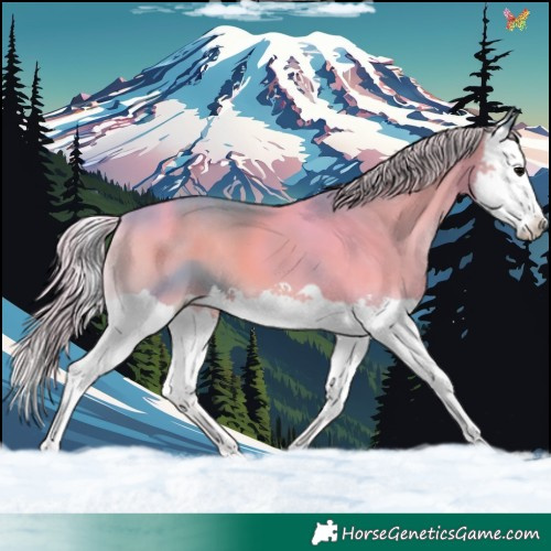 Horse Color:Watercolor Silver Blue Onyx Splash 