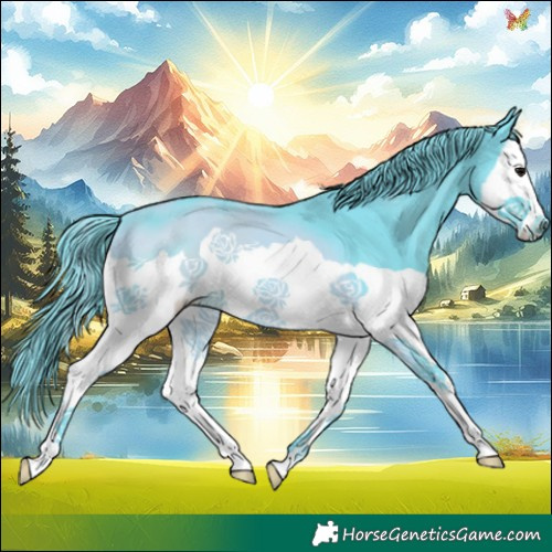 Horse Color:Watercolor Black Splash 