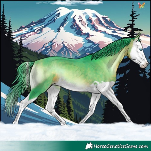 Horse Color:Watercolor Buckskin Onyx Splash