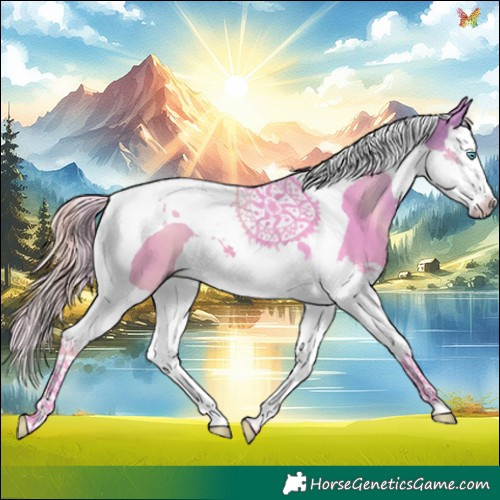 Horse Color:Watercolor Buckskin Splash Tobiano