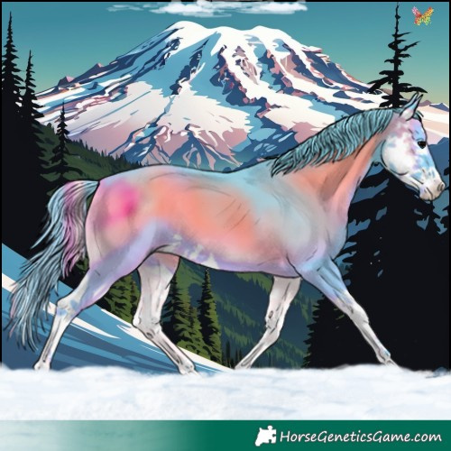 Horse Color:Watercolor Blue Onyx Splash 