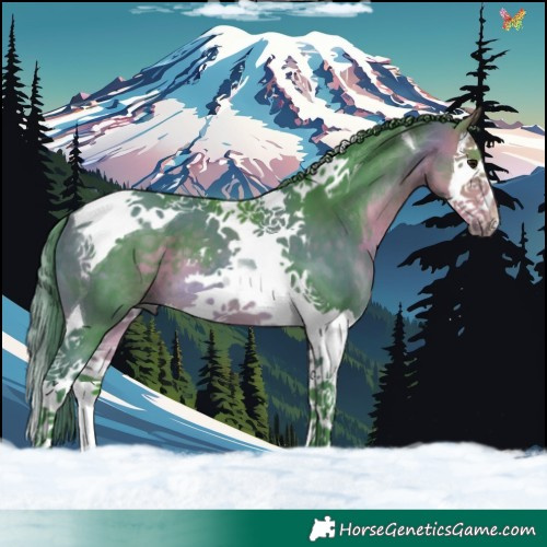 Horse Color:Watercolor Buckskin Splash Tobiano