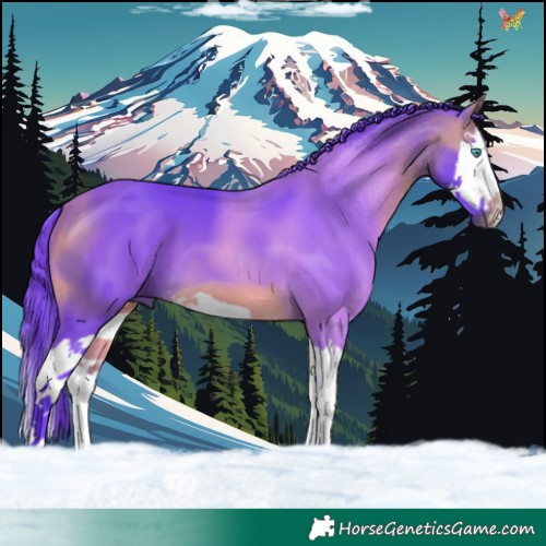 Horse Color:Watercolor Buckskin Splash 