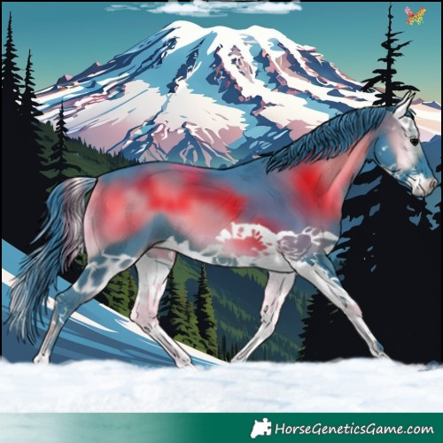 Horse Color:Watercolor Blue Onyx Splash 