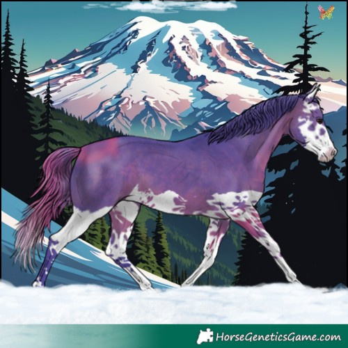 Horse Color:Watercolor Brown Splash 